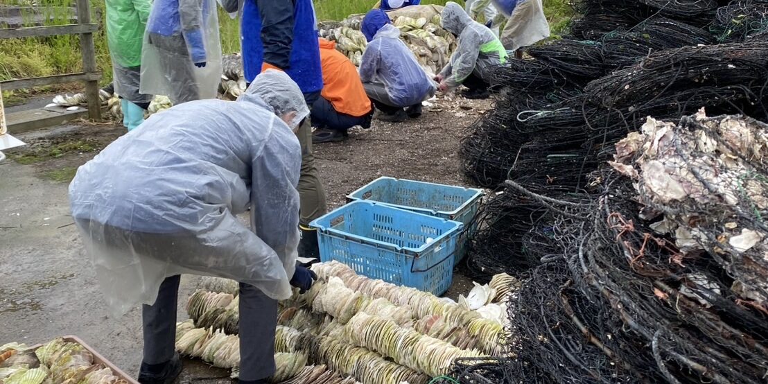 全労金能登半島地震ボランティア